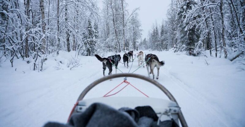 Levi: Self-Drive Guided Husky Tour - Key Points