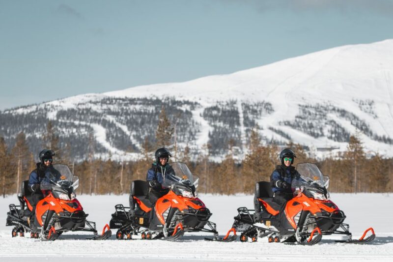 Levi: Snowmobile Safari for Adults - Scenic Highlights: Forests and Lakes of Levi