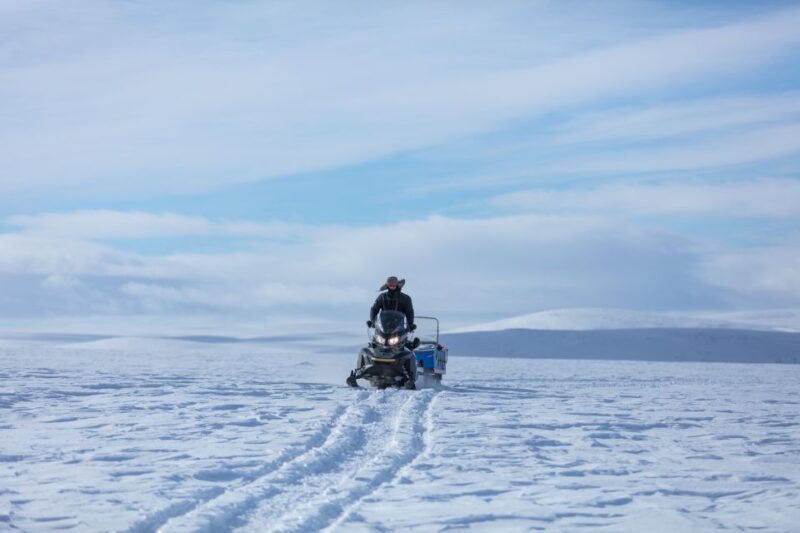 Levi: Snowmobiling Adventure - Levi Snowmobiling Adventure: An Arctic Thrill in Lapland