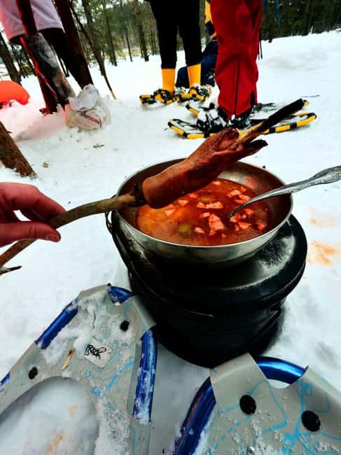 Levi: Snowshoe Survival Experience - Meeting Point and Transportation in Levi