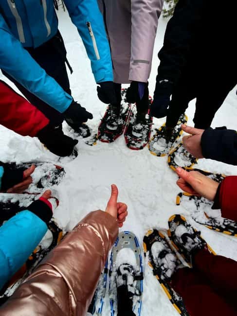 Levi: Snowshoe Survival Experience - Why This Tour Stands Out in Levi