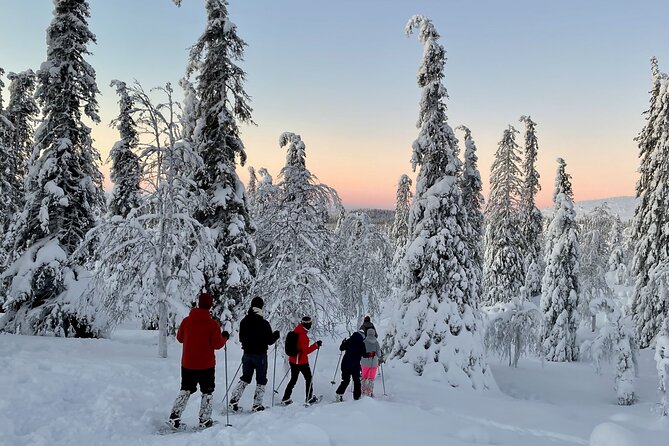Levi: Snowshoeing adventure in the National Park - Key Points