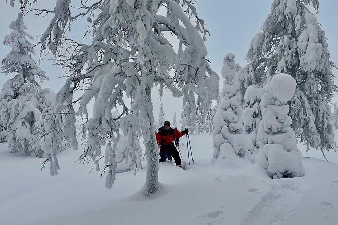 Levi: Snowshoeing adventure in the National Park - Booking, Flexibility, and Weather Considerations