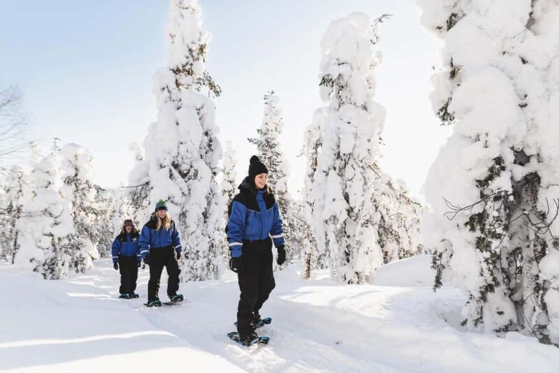 Levi: Snowshoeing Adventure with warm Drinks - Stunning Lapland Snowshoe Adventure with Cozy Breaks