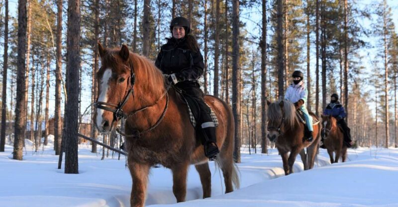 Levi: Snowy Forest Ride and Polar Lights Tours - Levi: Snowy Forest Ride and Polar Lights Tours