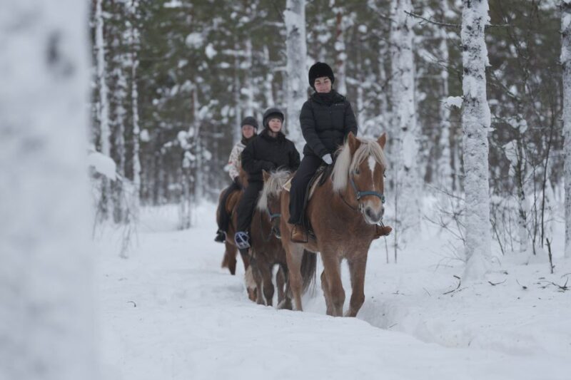 Levi: Snowy Forest Ride and Polar Lights Tours - Opportunities to See the Northern Lights