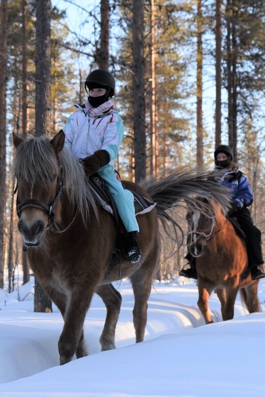 Levi: Snowy Forest Ride and Polar Lights Tours - The Experience and Guides’ Expertise