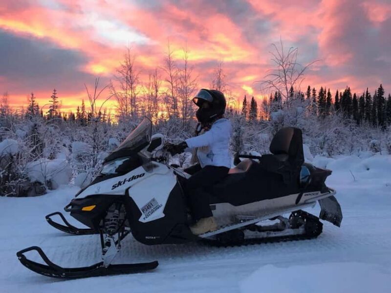 Levi: Twilight Snowmobile Safari & Stargazing Experience - Riding Through Lapland’s Winter Landscape