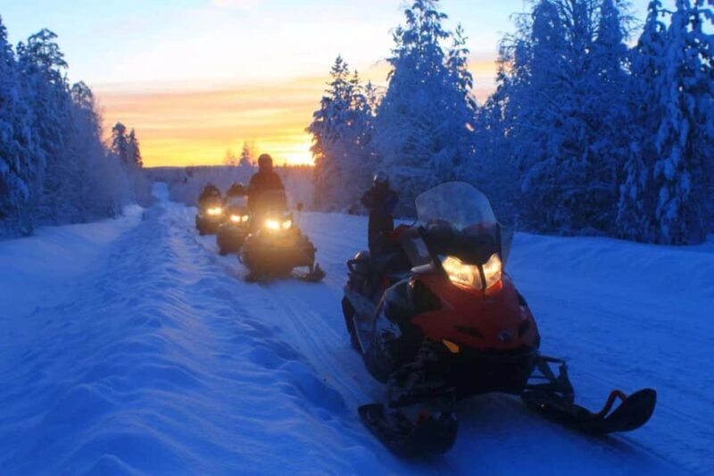 Levi: Twilight Snowmobile Safari & Stargazing Experience - The Hidden Forest Stop and Northern Lights Possibility