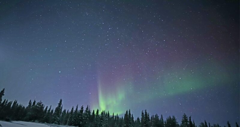 Levi: Twilight Snowmobile Safari & Stargazing Experience - What Makes This Tour Stand Out in Levi