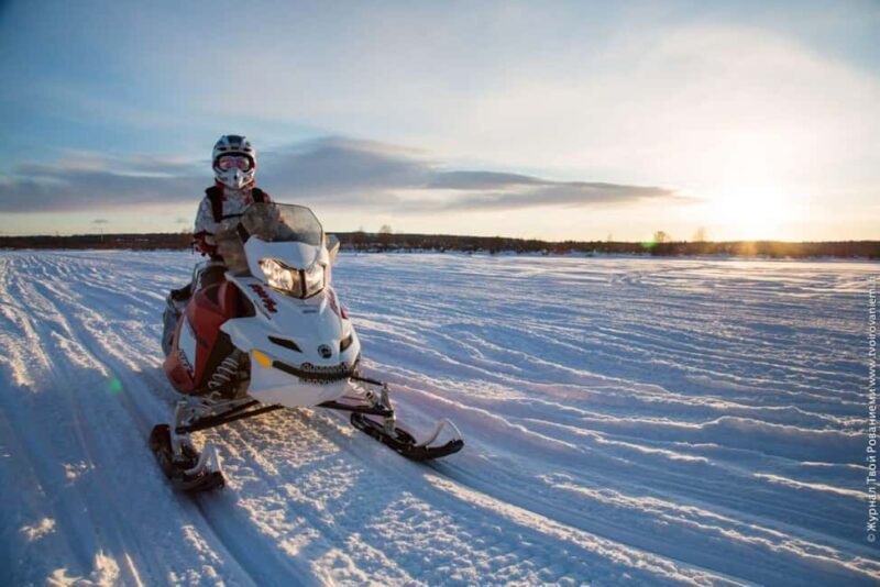 Levi: Twilight Snowmobile Safari & Stargazing Experience - Who Should Consider This Tour