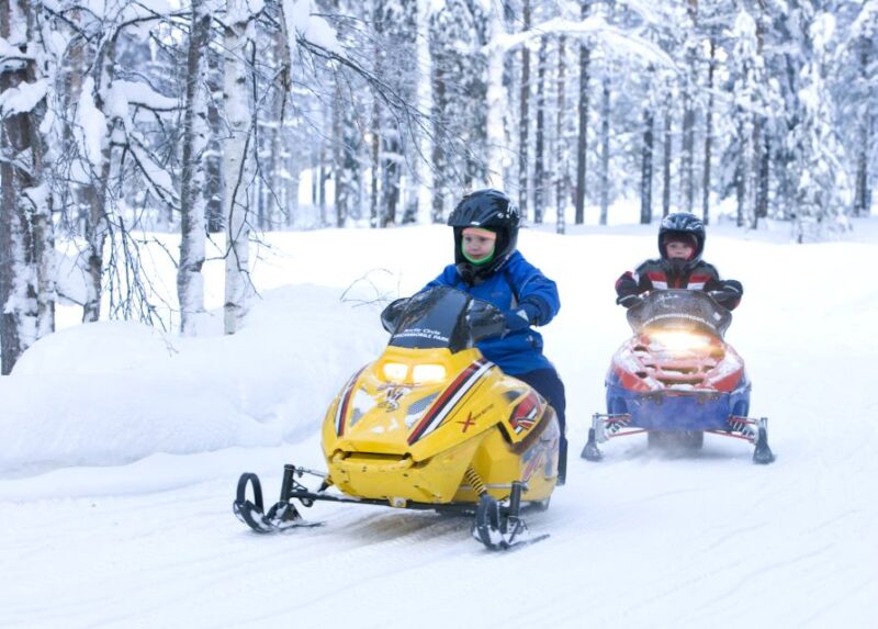 Levi: Winter Highlights Tour with Snowmobiling - Key Points