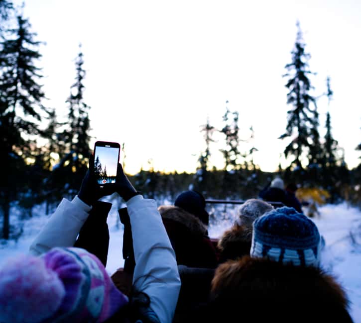 Levi: Winter Wilderness Husky & Reindeer Safari Combo Tour - Key Points