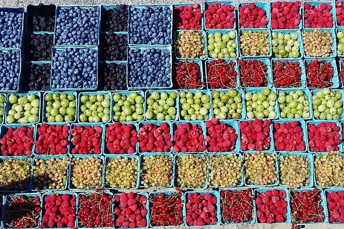 Lewin Farms, Lavender By The Bay and Tanger Outlets Full-Day Tour - Key Points