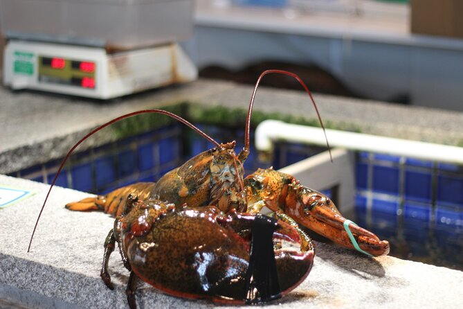 Lexington & Concord 250th Birthday Tour with Concord Museum Entry - Transportation and Group Size