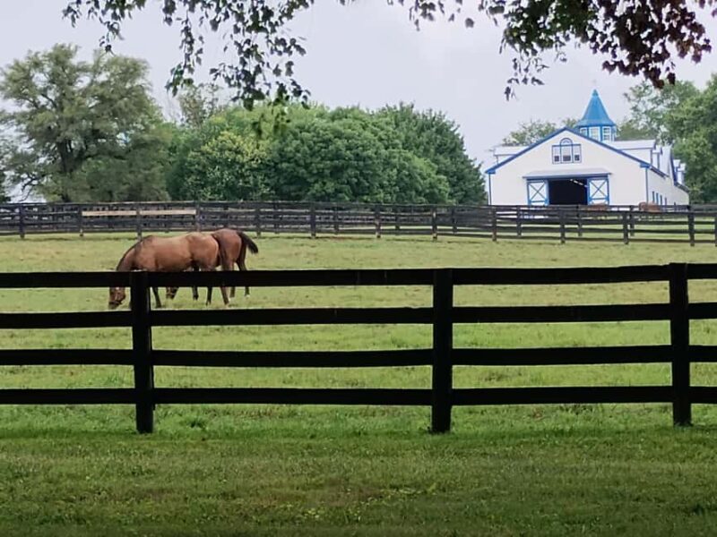 Lexington: Thoroughbred Horse Farm Tour and Scenic Bluegrass - Key Points