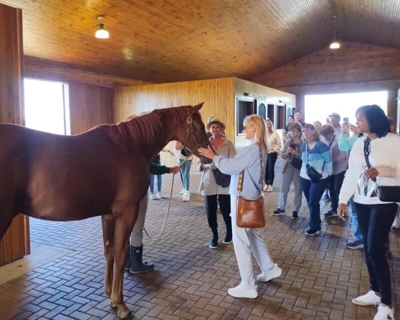 Lexington: Thoroughbred Horse Farm Tour and Scenic Bluegrass - Visits to Iconic Thoroughbred Horse Farms