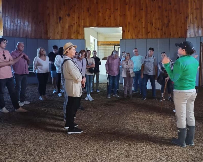 Lexington: Thoroughbred Horse Farm Tour and Scenic Bluegrass - Opportunities for Horse Interaction and Photo Stops