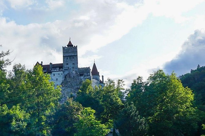 Libearty Bear Sanctuary and Dracula's Castle - Day Tour from Bucharest - Practical Details: Transportation, Group Size, and Comfort