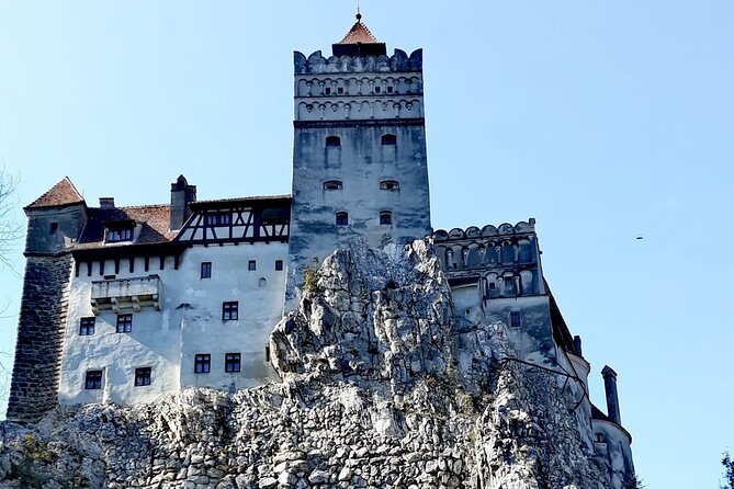 Libearty Bear Sanctuary and Dracula's Castle - Day Tour from Bucharest - What Makes This Tour Stand Out: Guides and Guest Experience