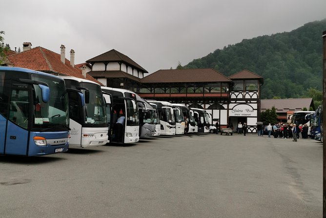 Libearty Brown Bears Sanctuary & Fun with ATV or Buggy Quad Tour - Starting the Day at the Libearty Brown Bears Sanctuary in Zarnesti