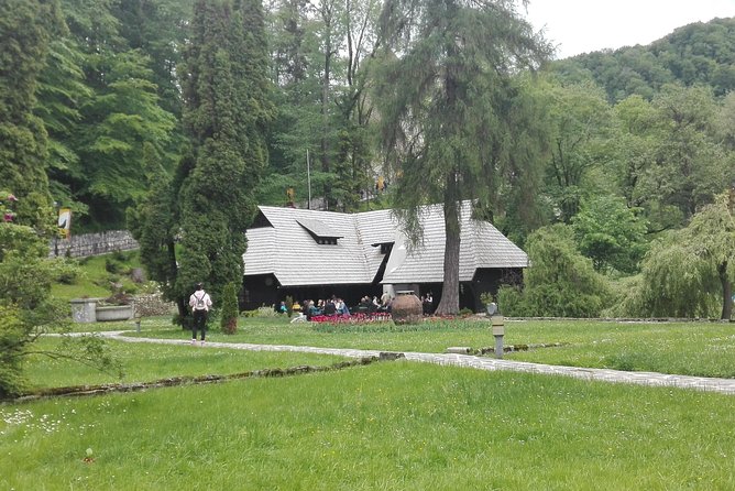 LiBEARty - the Brown Bear Sanctuary from Zarnesti - Convenient and Comfortable Transportation