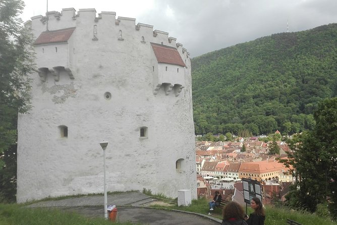 LiBEARty - the Brown Bear Sanctuary from Zarnesti - Knowledgeable and Friendly Guides