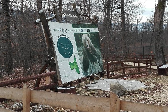 LiBEARty - the Brown Bear Sanctuary from Zarnesti - Considerations and Limitations