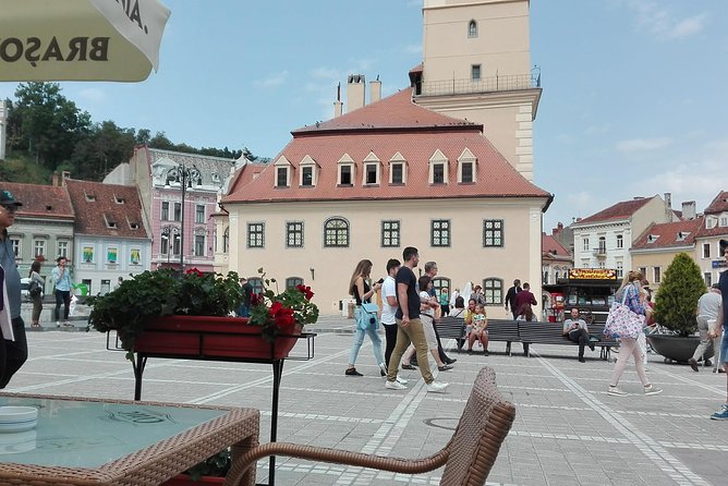 LiBEARty - the Brown Bear Sanctuary from Zarnesti - Why This Tour Stands Out