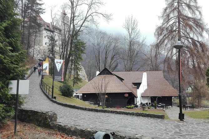 LiBEARty - the Brown Bear Sanctuary from Zarnesti - Final Thoughts on the Zarnesti Full-Day Tour