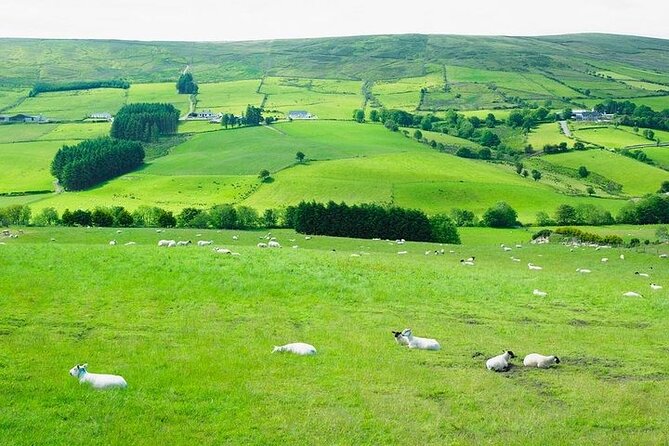 Liberty Irish Tours Dublin City & Wicklow Mountains Luxury Car Shore Excursion - Scenic Drive Through Ancient East Ireland and Dublin Suburbs