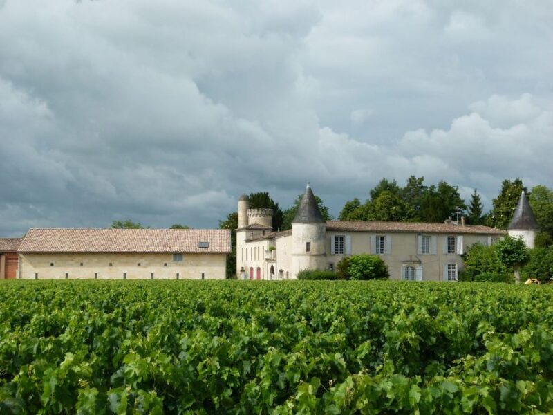 Libourne: Winery Tour with Wine and Chocolate Tasting - The Experience of a Family-Run Winery