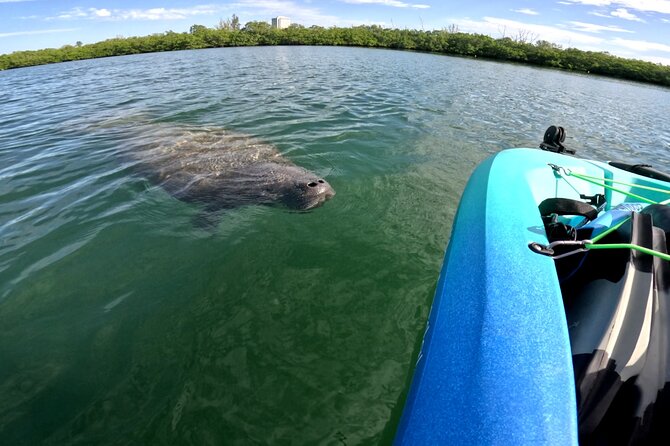 Lido Key Pedal Kayak Tour in Sarasota - Family-Friendly and Inclusive Experience