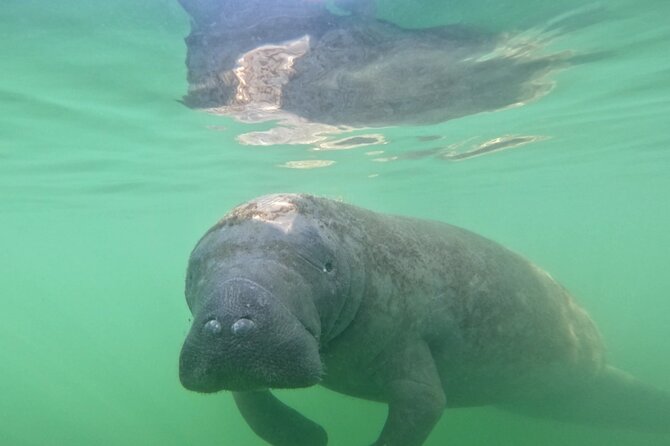Lido Key Pedal Kayak Tour in Sarasota - Booking, Flexibility, and Weather Considerations