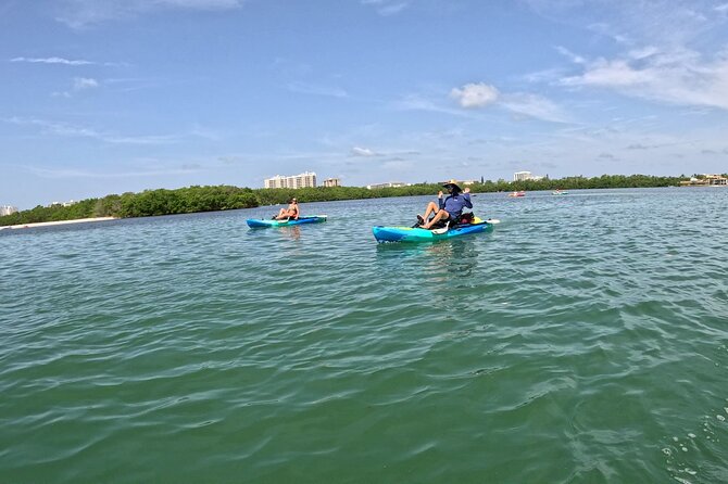 Lido Key Pedal Kayak Tour in Sarasota - Final Thoughts on the Lido Key Pedal Kayak Tour