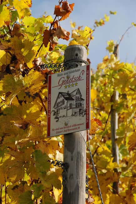 Lieser: covered wagon ride, the rolling wine tasting with picnic basket - The Bernkastel-Kues Segment