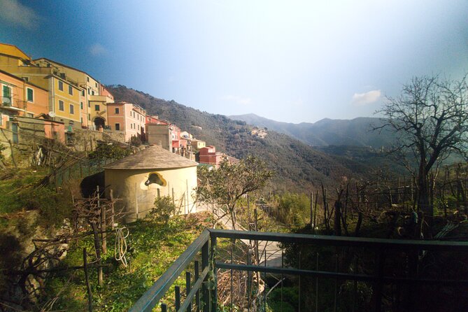 Lievàntu Wine Experience - Wine Tasting and Local Delicacies at S. Anna Vineyard