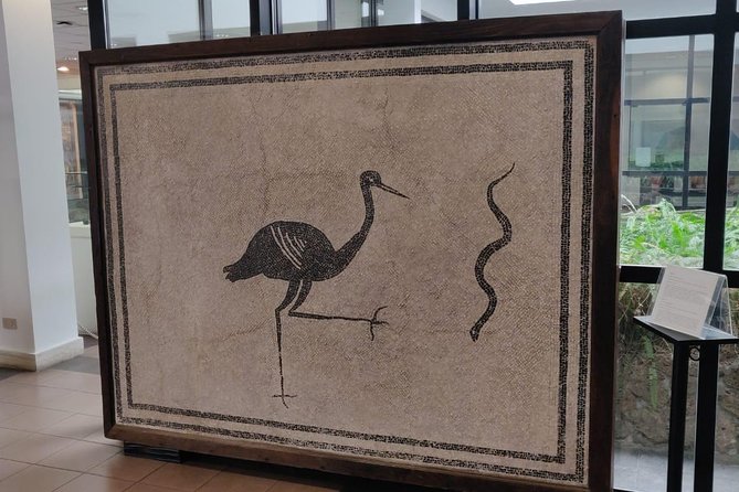 Lifestyle of The Ancient Rich: Domus & Villa in Pompeii, Oplontis and Boscoreale - Practical Details and Logistics