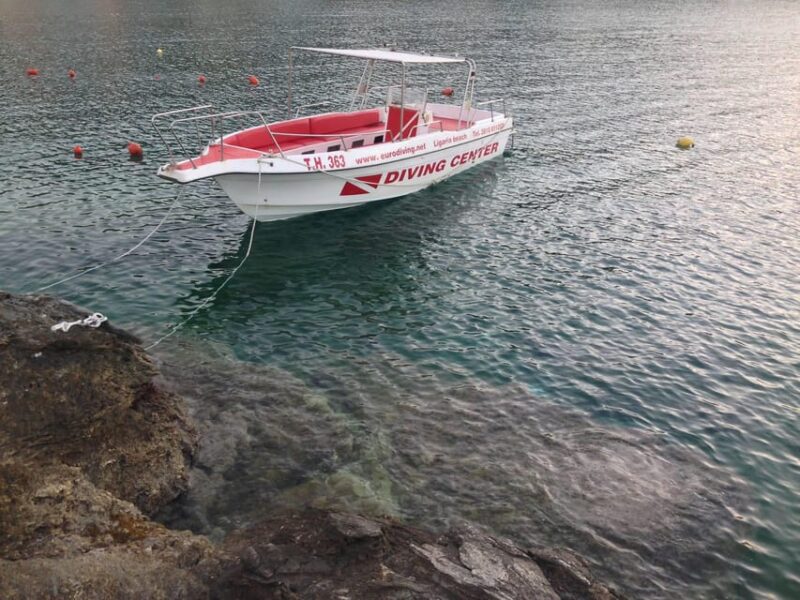 Ligaria: Snorkeling trip with Motor Boat around Agia Pelagia - Who Will Enjoy This Tour Most?