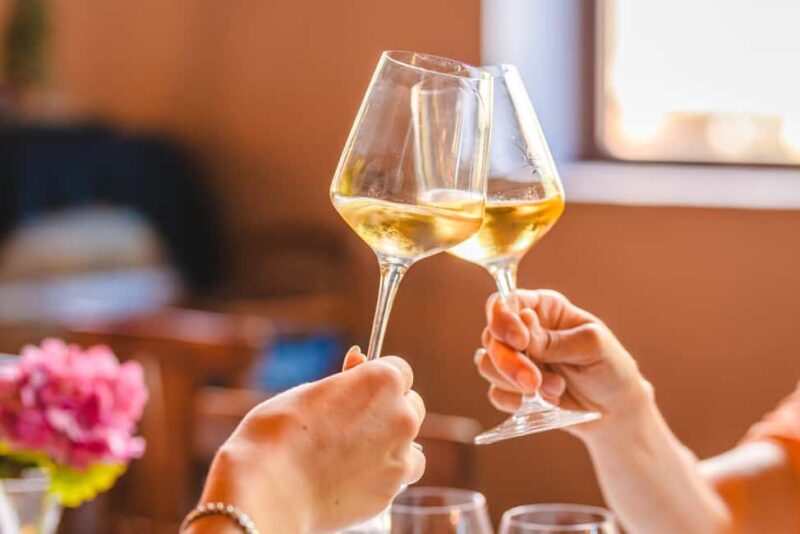 Light Lunch Tasting "Tosca" - Accessibility and Language Support