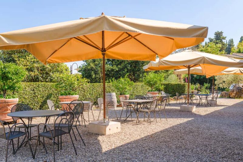 Light Lunch Tasting "Tosca" - Comparing with Similar Wine and Food Experiences in San Gimignano