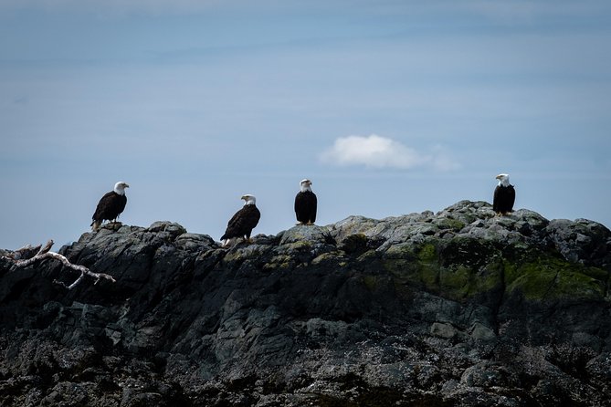Lighthouse, Totems & Eagles Excursion (Ketchikan) - Discover the Best of Southeast Alaska with This Ketchikan Tour
