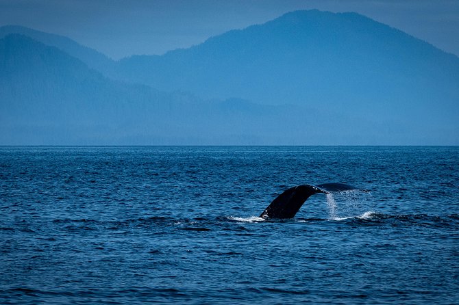 Lighthouse, Totems & Eagles Excursion (Ketchikan) - Exploring Totem Bight State Historical Park