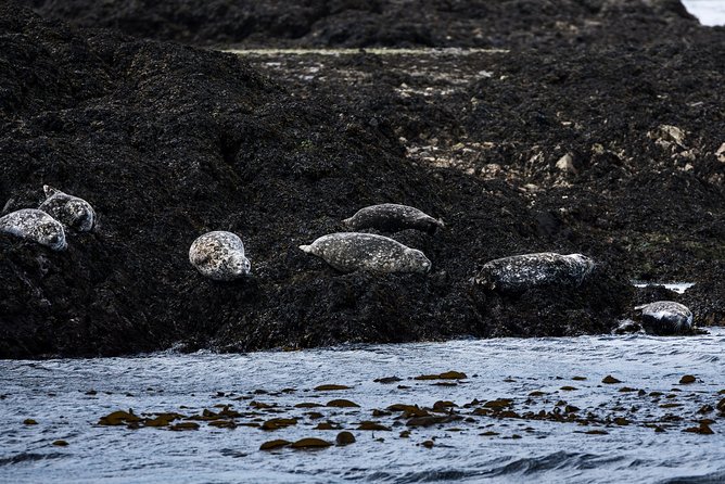 Lighthouse, Totems & Eagles Excursion (Ketchikan) - Guard Island Lighthouse: A Historic Landmark