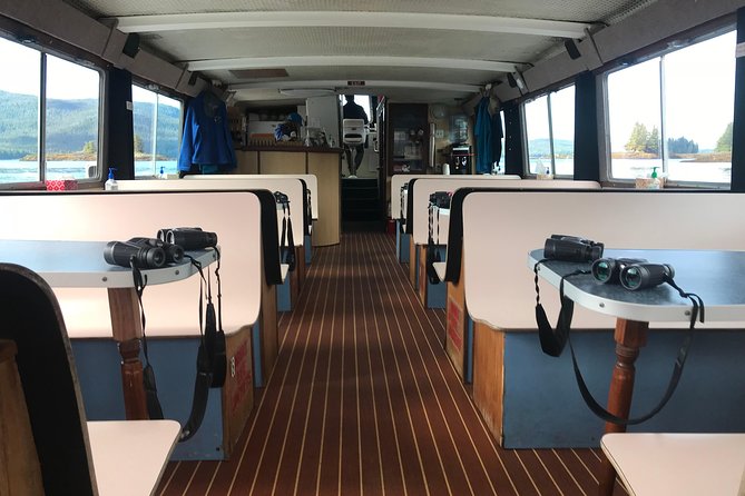 Lighthouse, Totems & Eagles Excursion (Ketchikan) - Witnessing Temperate Rainforests from the Water