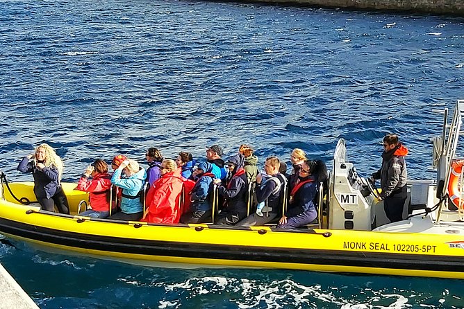 Lighthouse View 2 - Boat Tour Ponta São Lourenço - Wildlife and Bird Species Along the Route