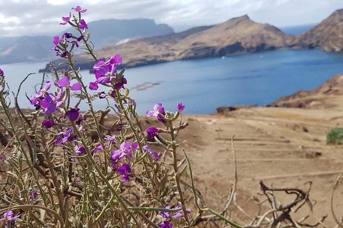 Lighthouse View 3 (Cais do Sardinha, Lighthouse and return to Cais do Sardinha) - The Value and Booking Details