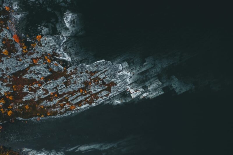 Lightweighted walk through wild Arctic Nature - The Vegetarian Meal in Nature’s Heart