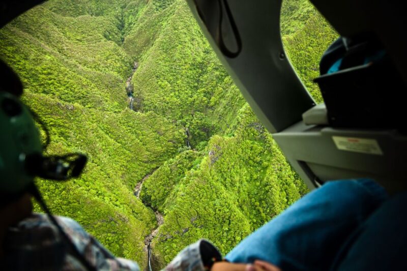 Lihue: Deluxe Waterfall Safari Helicopter Tour - The Value and Booking Flexibility