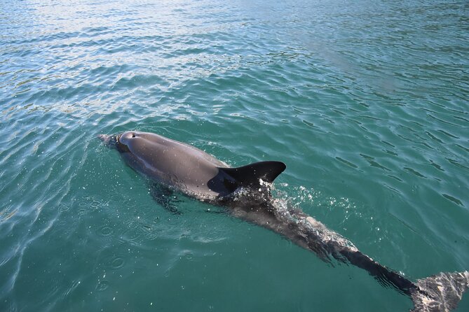 Lim Bay Outrigger Canoe Tour - Why the Lim Bay Outrigger Canoe Tour Stands Out